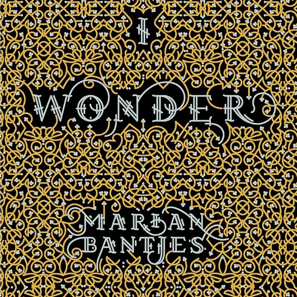 I Wonder hardcover book by type designer artist Marian Bantjes